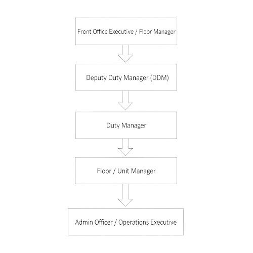 DDM Career Path